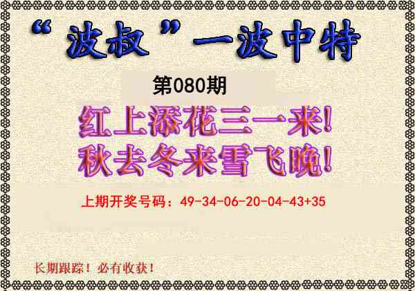 080期波叔一波中特[图]